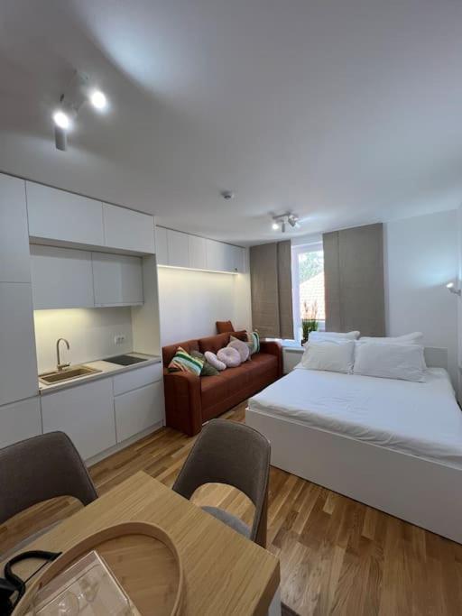 Ema - Jakov Kopaonik Kraljevi Čardaci - Apartman sa 1 Spavaćom Sobom - 50
