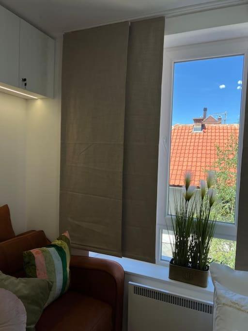 Ema - Jakov Kopaonik Kraljevi Čardaci - Apartman sa 1 Spavaćom Sobom - 55