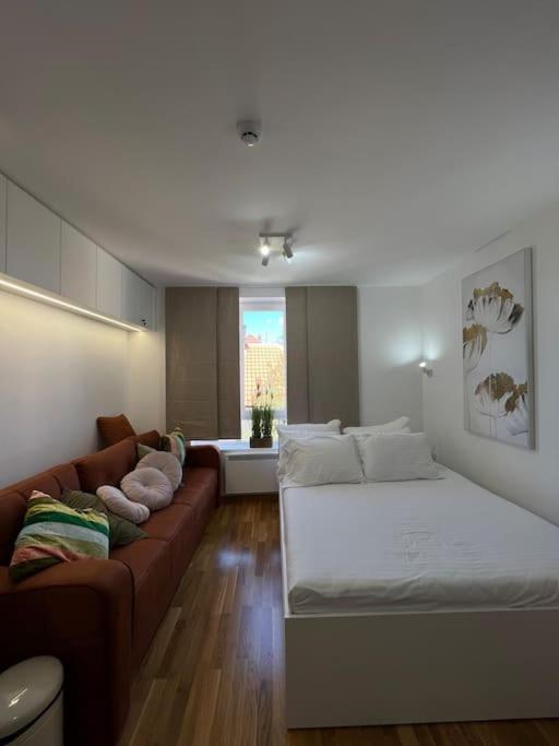 Ema - Jakov Kopaonik Kraljevi Čardaci - Apartman sa 1 Spavaćom Sobom - 59