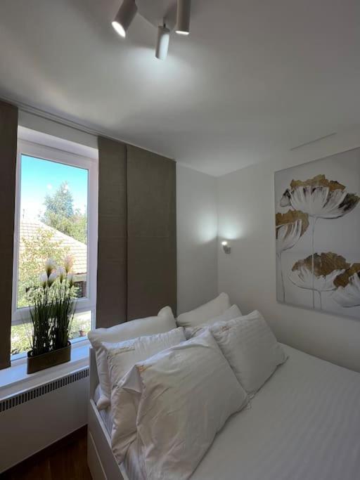 Ema - Jakov Kopaonik Kraljevi Čardaci - Apartman sa 1 Spavaćom Sobom - 61