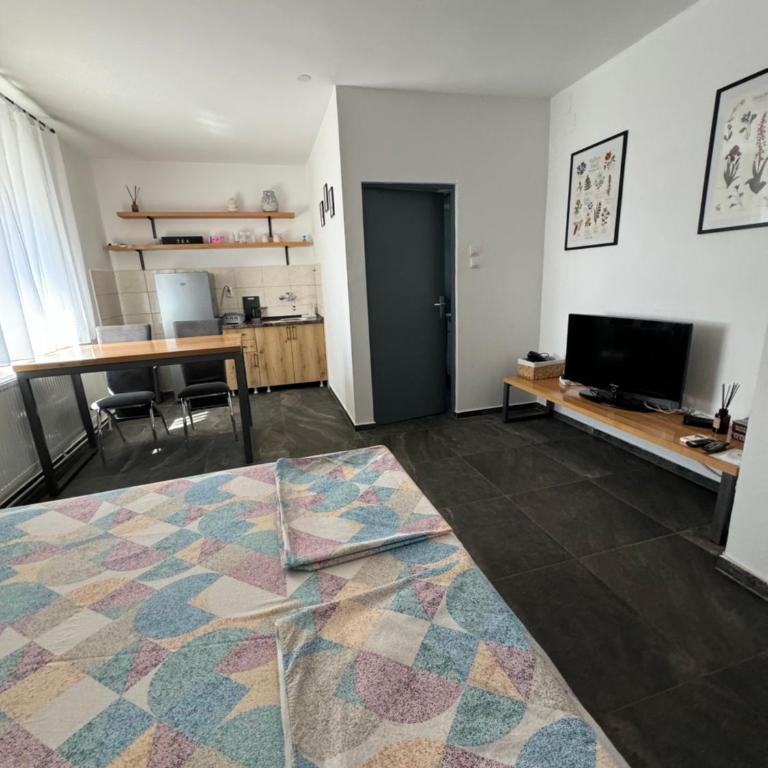 Bellas apartmani - Apartman sa 1 Spavaćom Sobom - 26
