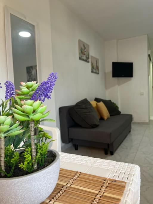 Apartamento Brisas Mediterráneas - One-Bedroom Apartment - 5