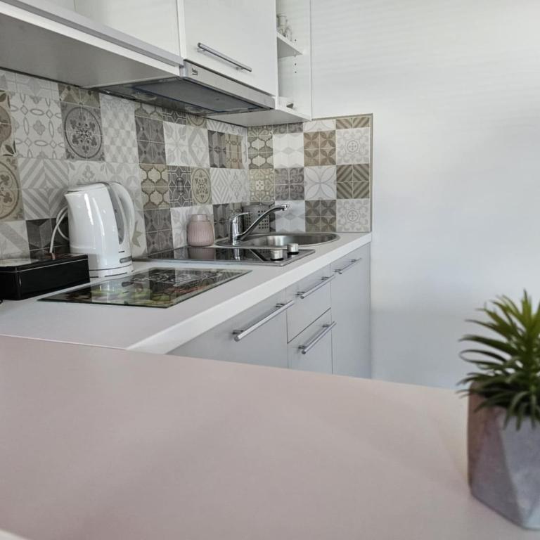 Apartmani EMA Bihać - Deluxe Double Studio - 6