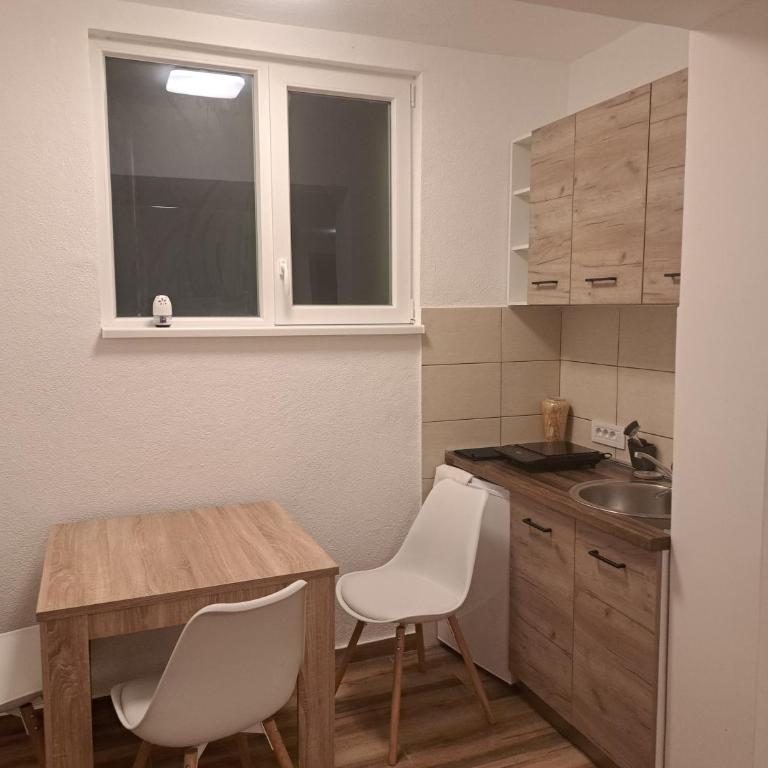 Vila RUŽA - House of Roses - Studio - Disability Access - 3