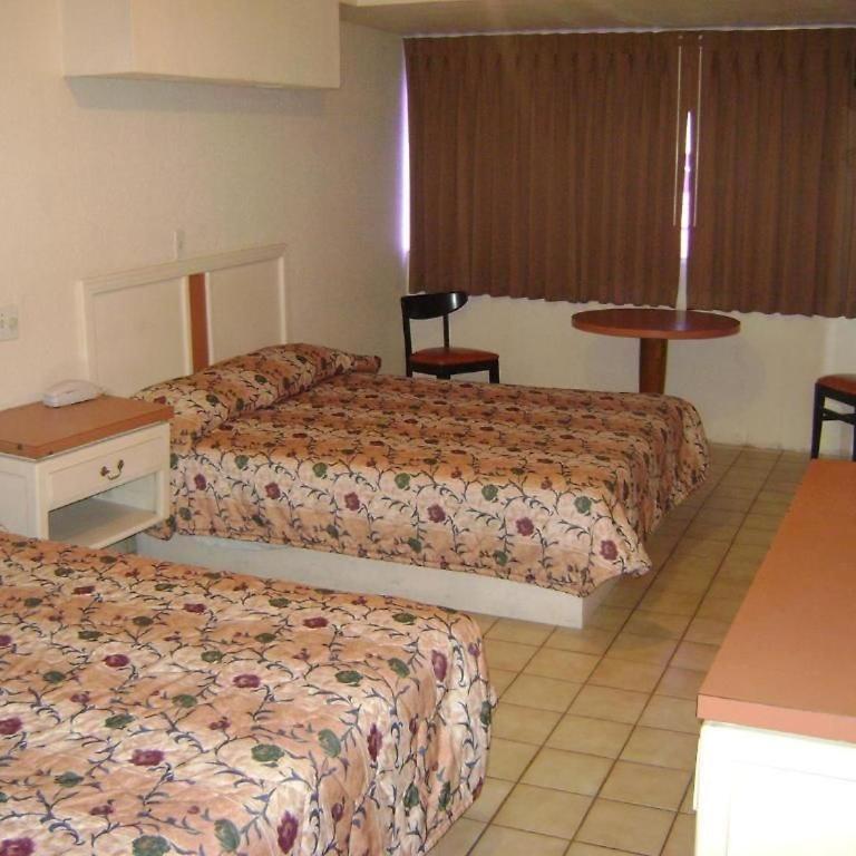 Hotel León - Twin Room - 2