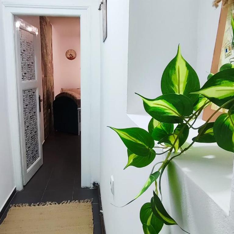 Skadarlija studio apartment Parking - Standardni Studio - 20