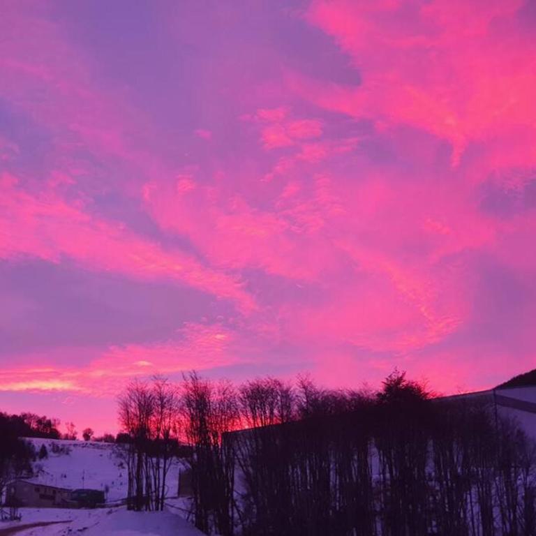 Ágape - Apartamento de 1 dormitorio - 15