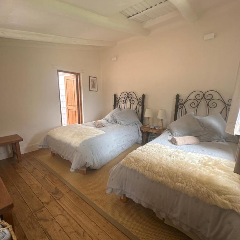 La Casa del Conde - Double Room with Terrace - 1