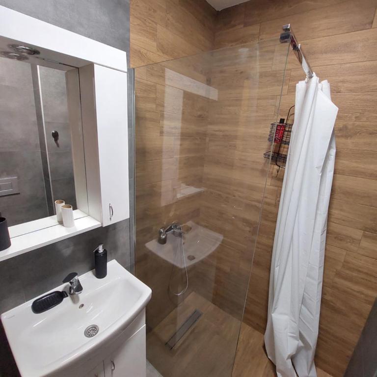 LION apartman - Apartman sa 1 Spavaćom Sobom - 11
