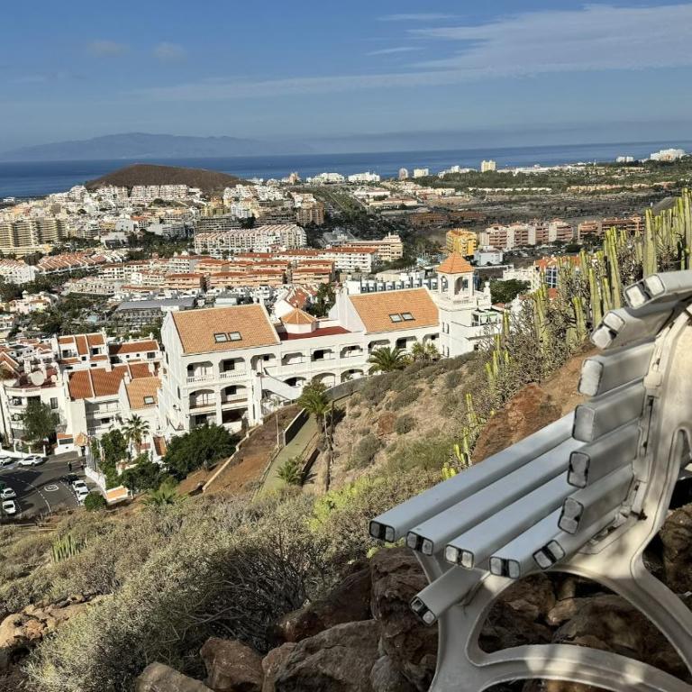 Amazing Los Cristianos Panoramatic View Home - Apartamento con vistas al mar - 19
