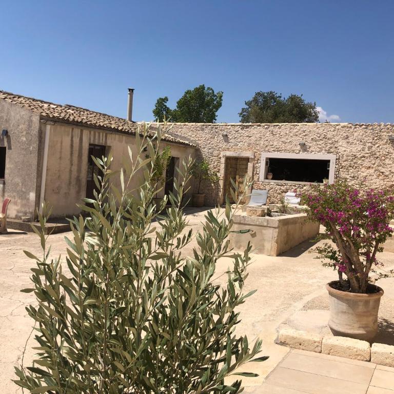 oliveraie de caractère - Casa con 2 Camere da Letto - 45