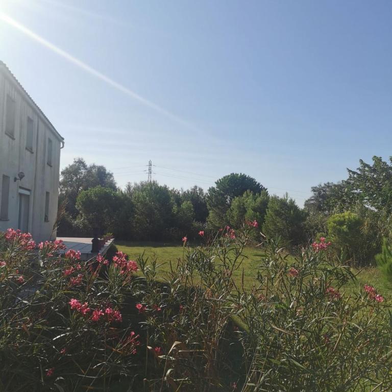 Plages de camargue et logement dans un site calme de rêve - Appartamento con 2 Camere da Letto - 1