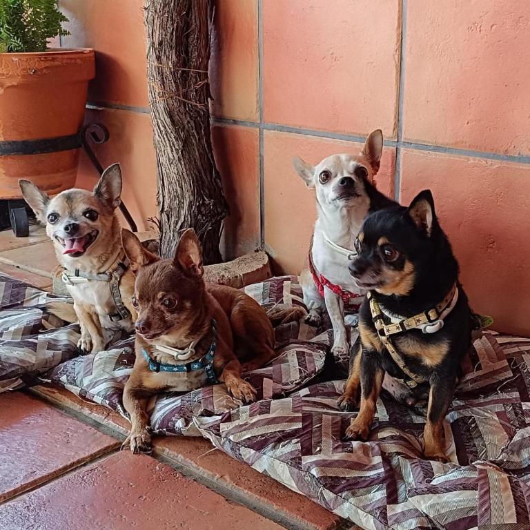 Huerta Del Pasil (Casa Entera) - Casa de 4 dormitorios - 30