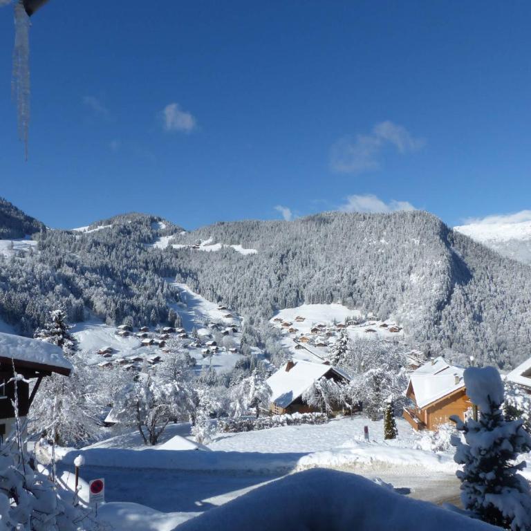 Alpee 1 - Appartement proche pistes de ski - Appartamento con Vista Montagna - 3
