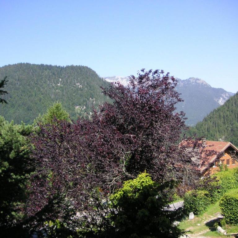 Alpee 1 - Appartement proche pistes de ski - Appartamento con Vista Montagna - 9