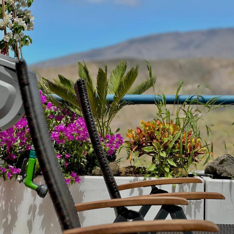 Sunset Hideaway-Roque del Conde - Two-Bedroom Apartment - 5