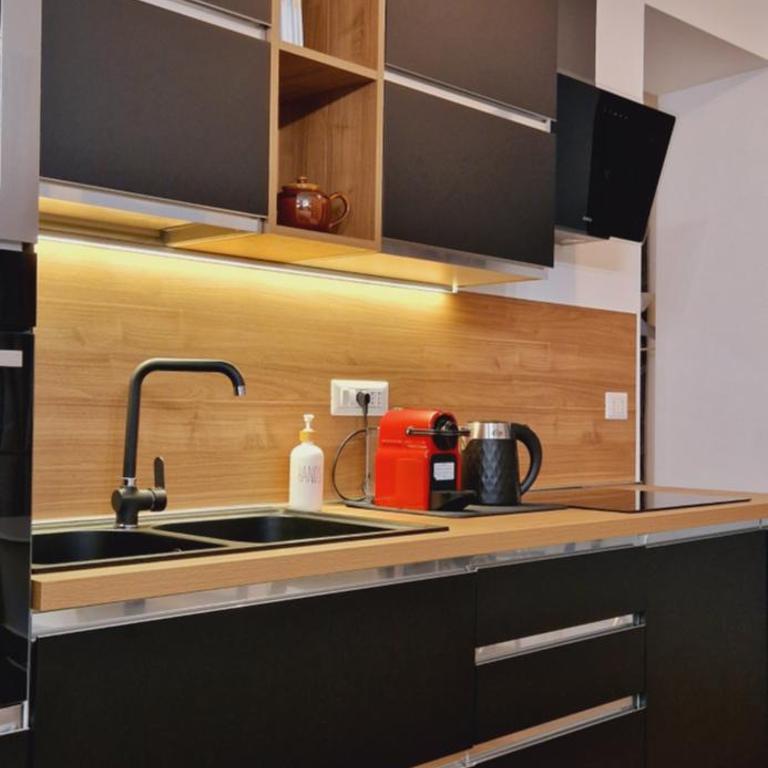 Central Loft Carina ideale per visitare il Centro di Torino - Appartamento Monolocale - 30