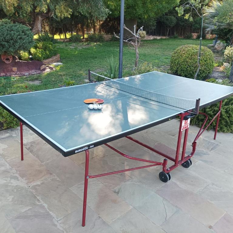 chalet & piscina-jardín-barbacoa - Villa de 4 dormitorios - 14
