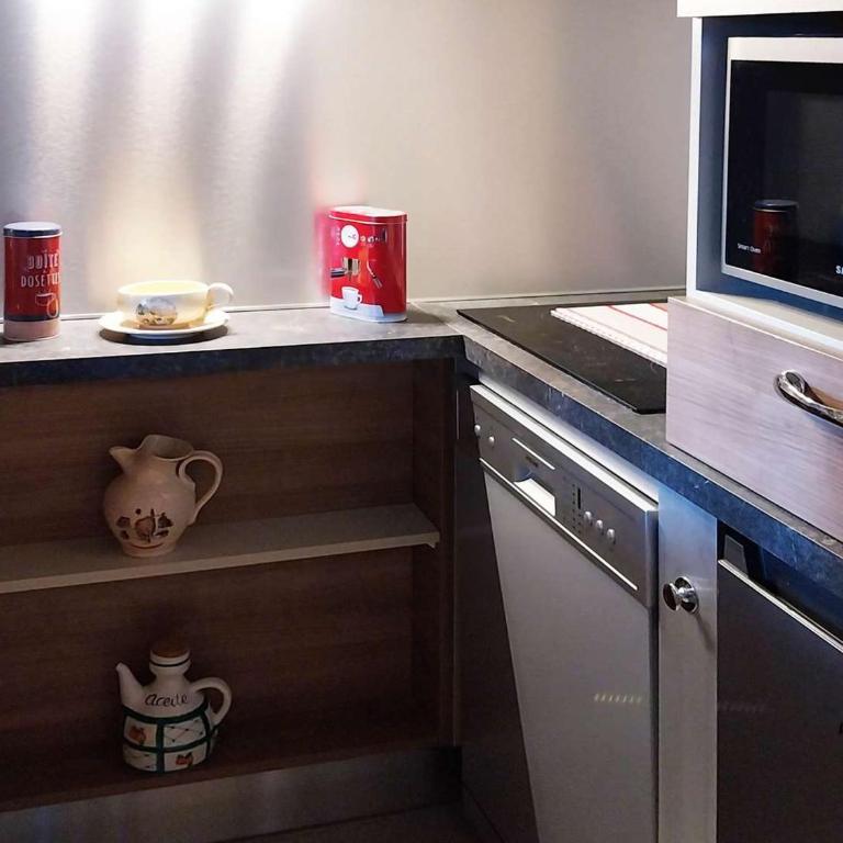 Studio prestige 4 pers, skis aux pieds, cheminée, balcon, sans animaux, wifi libre - FR-1-322-441 - Apartamento (4 adultos) - 12