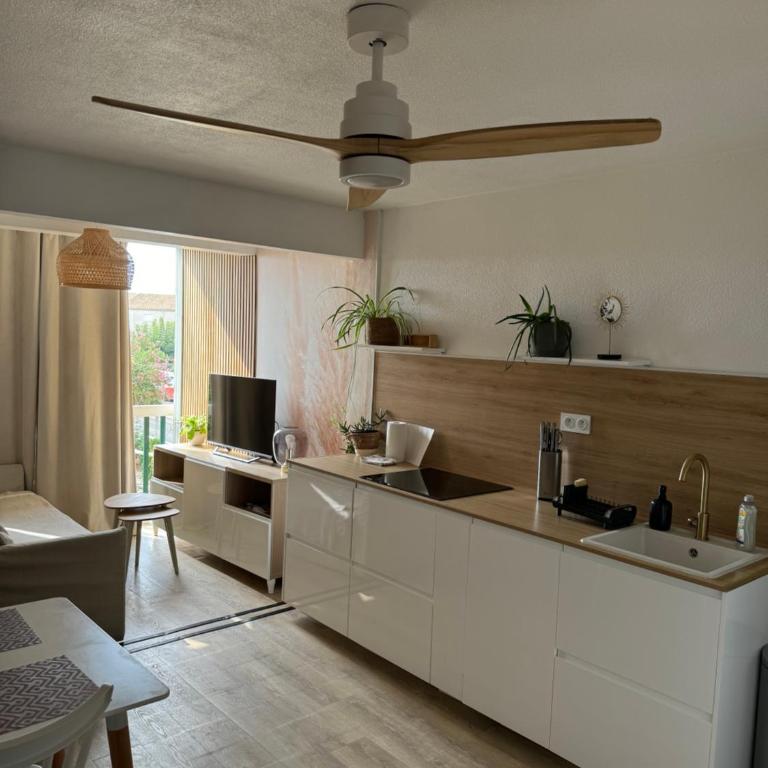 Mon Appart à la Plage, Piscine, Wifi, TV - Appartement 1 Chambre - 4