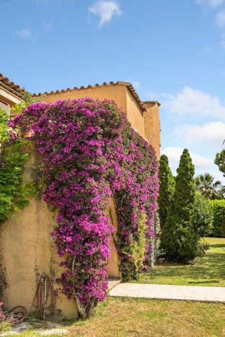 "La Bigaude" votre villa provençale climatisée, piscine et jardin à Mougins Village - Villa avec Piscine Privée - 38