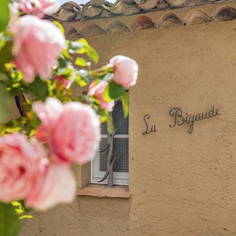 "La Bigaude" votre villa provençale climatisée, piscine et jardin à Mougins Village - Villa avec Piscine Privée - 41