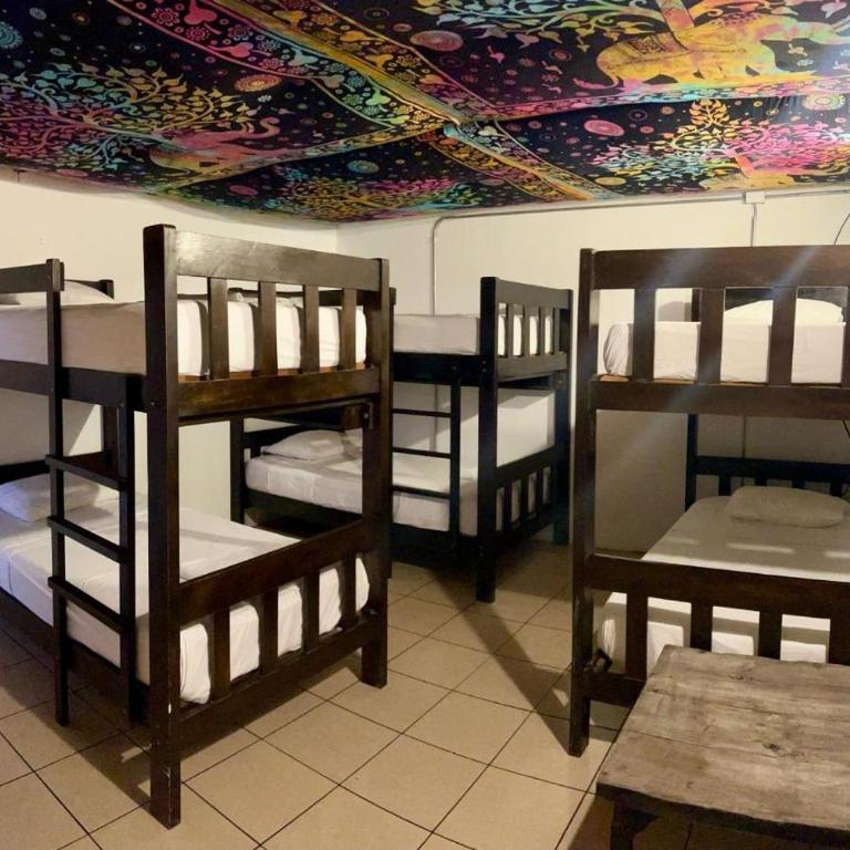 Hotel Pico Alto, La Planicie - 6-Bed Mixed Dormitory Room - 1