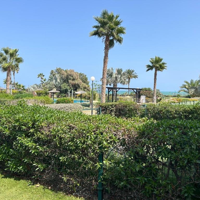 Jardines Nuevo Vera bajo 2 dormitorios vistas al mar - Apartamento de 2 dormitorios - 8