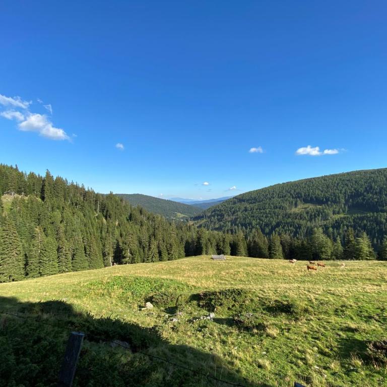 Sonnberg Chalet - Entspannung pur im Luxus Chalet mit Whirlpool-Sauna - Four-Bedroom House - 66