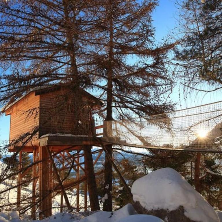 Cabane perchée avec sauna en pleine nature - Chalet 1 Chambre - 11