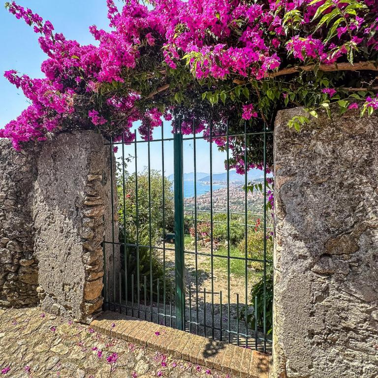 Paradise with Terrace - Free parking - Smart TV - Appartamento con 1 Camera da Letto - 33