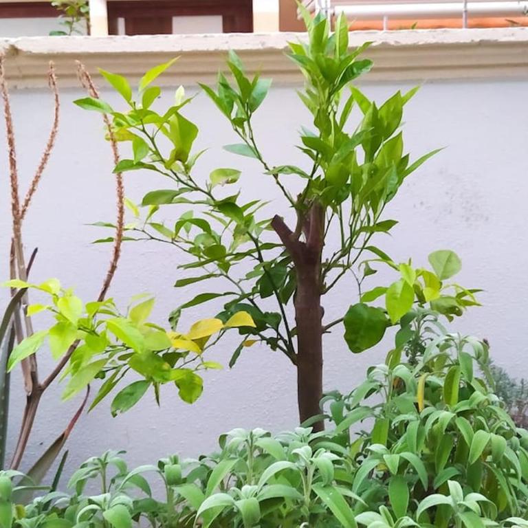 La dimora del Viaggiatore - Two-Bedroom Apartment - 53