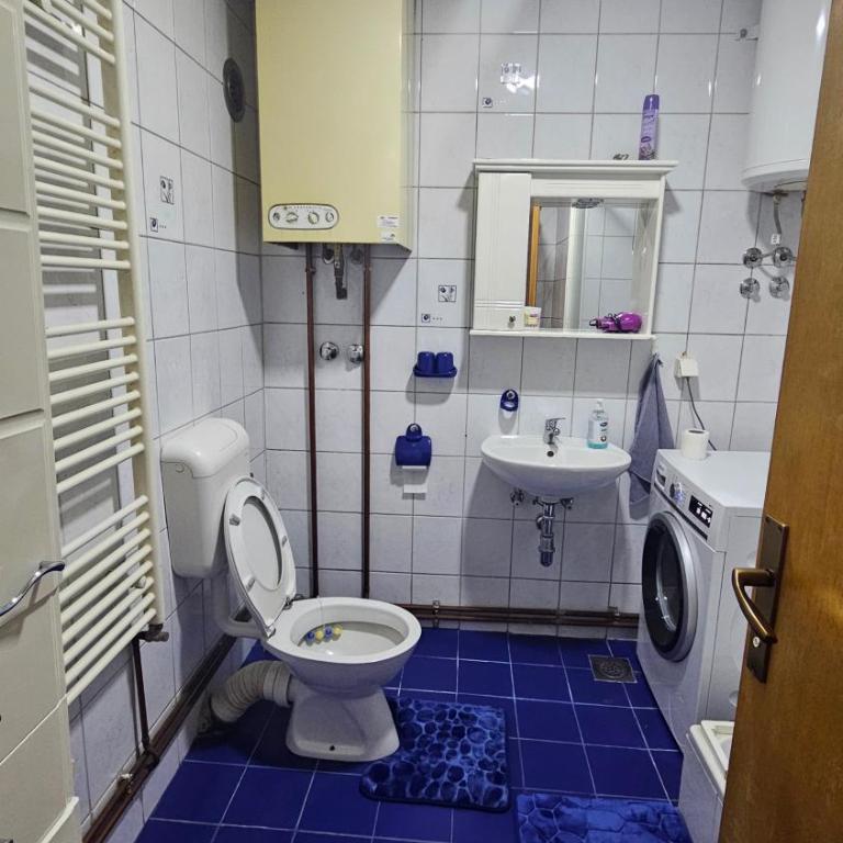 Idolina Apartment - Apartman sa 3 Spavaće Sobe i Balkonom - 65