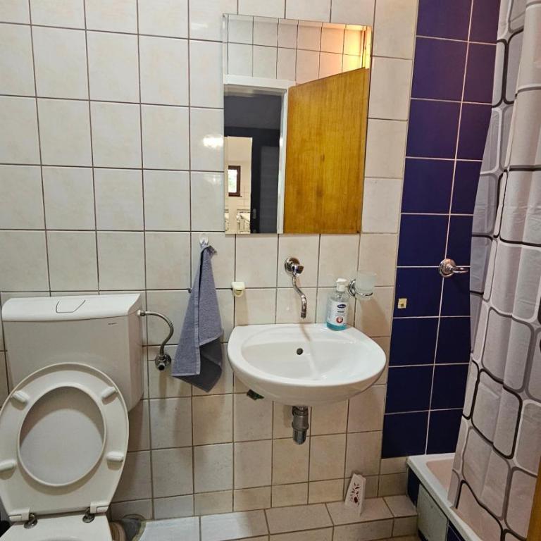 Idolina Apartment - Apartman sa 3 Spavaće Sobe i Balkonom - 18