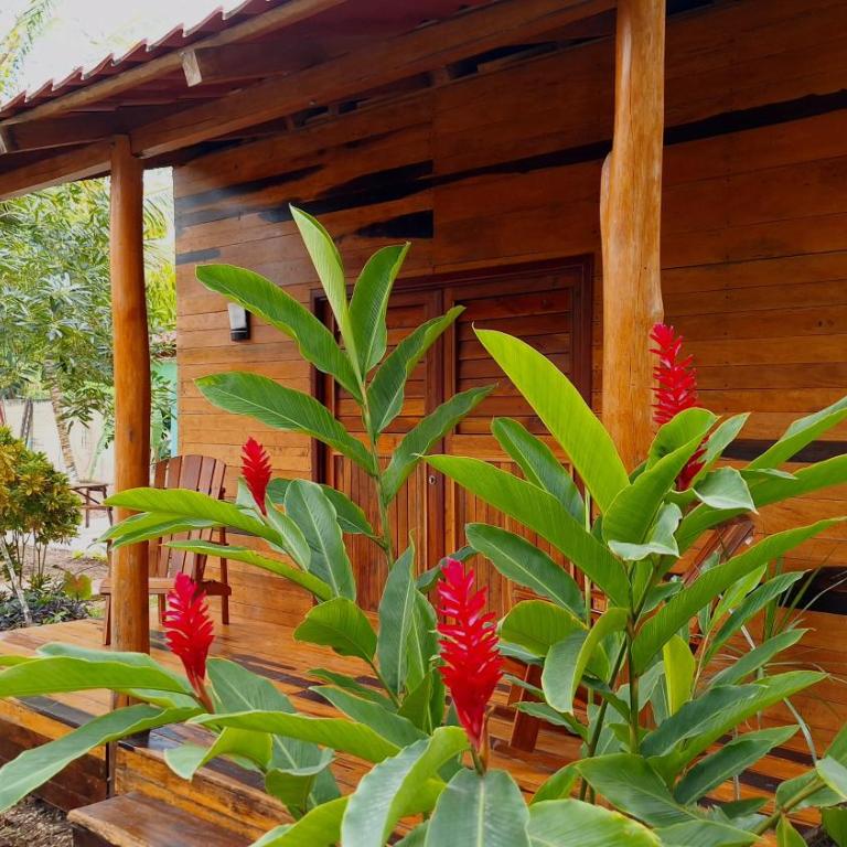 Bacalar La Fortuna Cabañas a 300m de la Laguna - Cottage with Garden View - 2