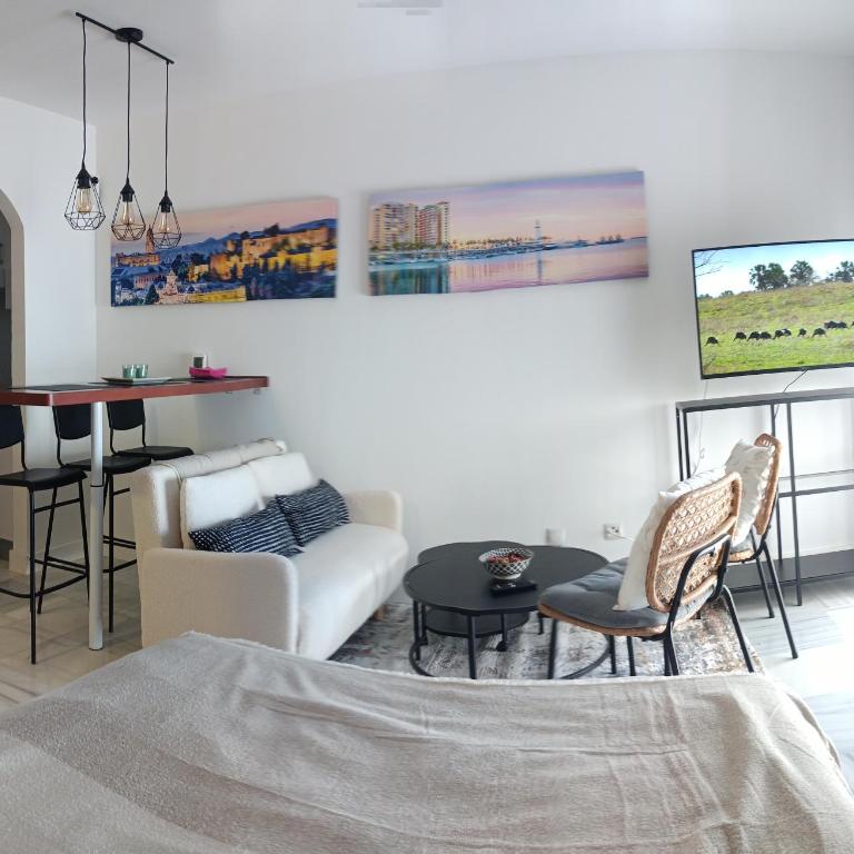 Estudio Centro Málaga Terraza y Barbacoa - Apartamento de 1 dormitorio - 4