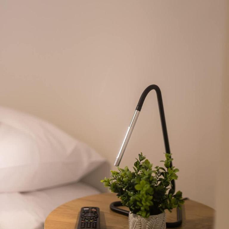 Explore the city from our Studio - Apartamento - 17