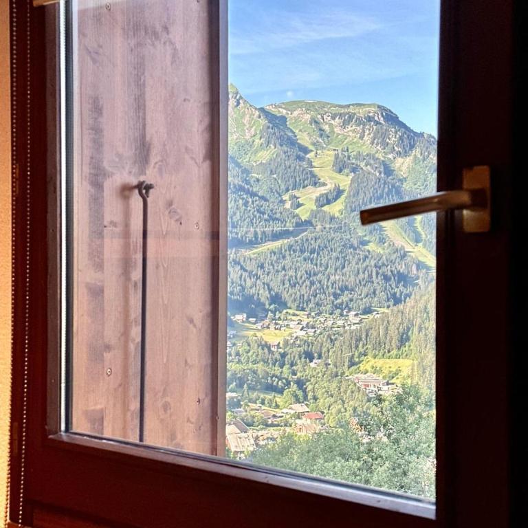 Modern apartment in Chatel with fantastic views - Appartement 2 Chambres - 4