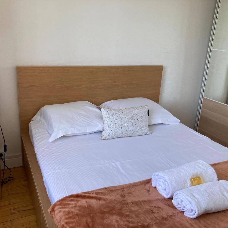 3 chambres , bureau lumineux , parking , proche métro Lyon - Appartement 3 Chambres Supérieur - 21