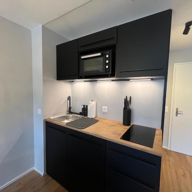 TITLIS Alpine Studio - close to cable car - nahe der Gondel - One-Bedroom Apartment - 10