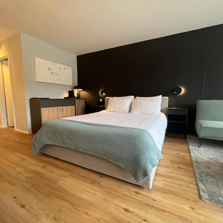 TITLIS Alpine Studio - close to cable car - nahe der Gondel - One-Bedroom Apartment - 4
