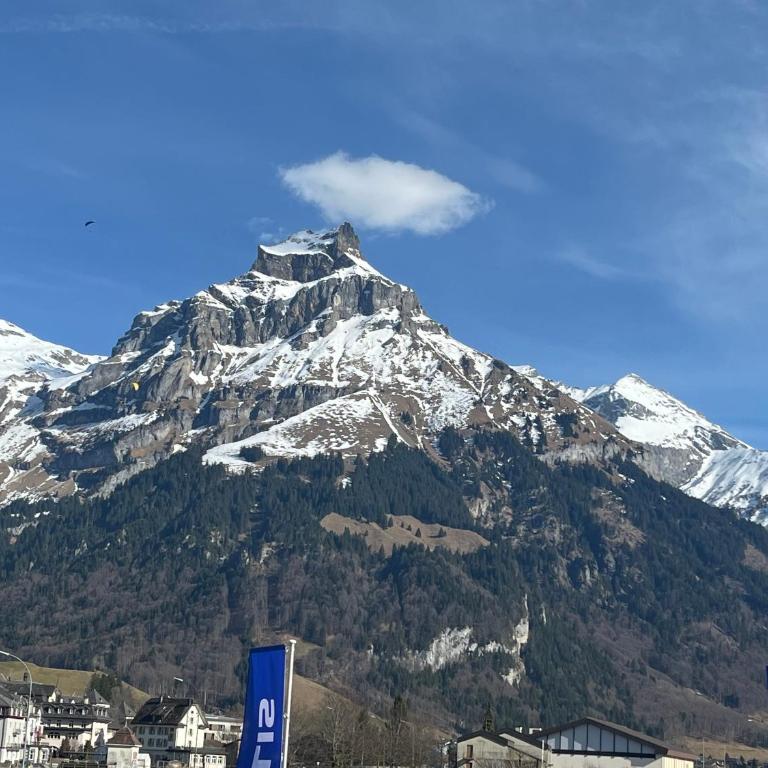 TITLIS Alpine Studio - close to cable car - nahe der Gondel - One-Bedroom Apartment - 15