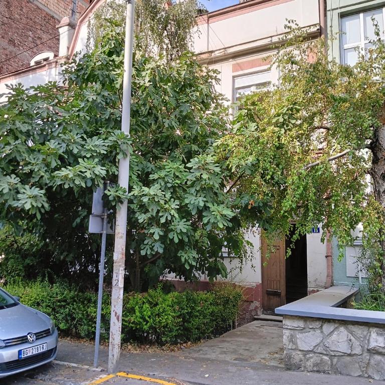 Studio Djurdjica - Apartman sa 1 Spavaćom Sobom - 6