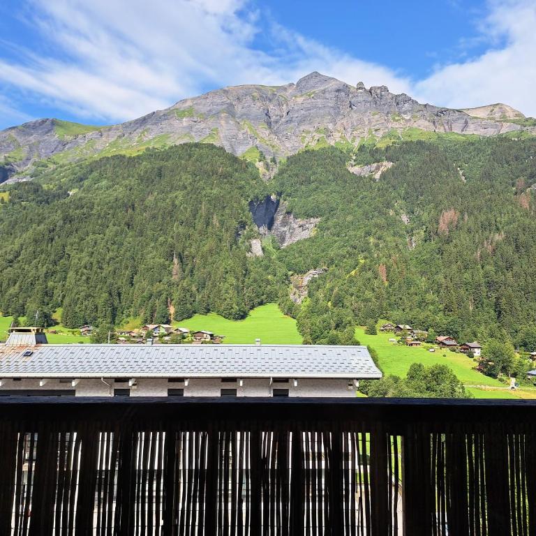 T3 avec vue montagne - Two-Bedroom Apartment - 1
