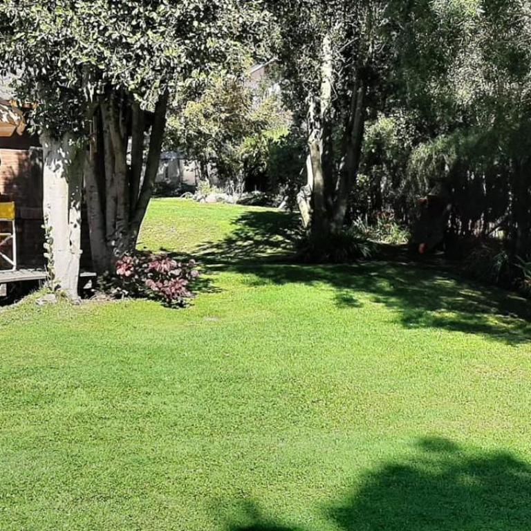 Charming House - Casa de 3 dormitorios - 10