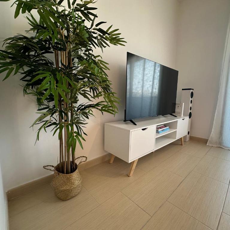 Apartamento Jardín de Cano - Preferente familias y mayores de 25 años - Apartamento de 2 dormitorios con balcón - 9