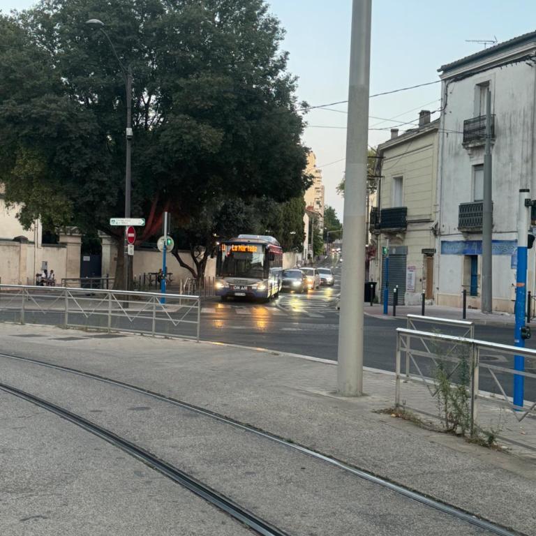 500m away from Main train & tramway Station, Central location, very quiet - Apartment mit 1 Schlafzimmer - 24