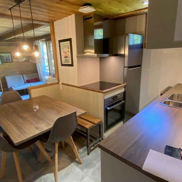 Duplex 3 chambres pour 6 pers, proche village, ski aux pieds - FR-1-459-230 - Apartamento - 2