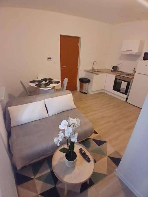 T1 "Orchidée" Centre ville, Stationnement gratuit et proche Tram - Apartment mit 1 Schlafzimmer - 6