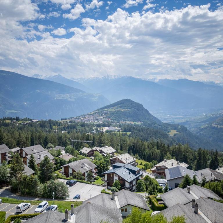 Cabane de la Delege -Crans Montana- Amazing Views - Chalet - 2